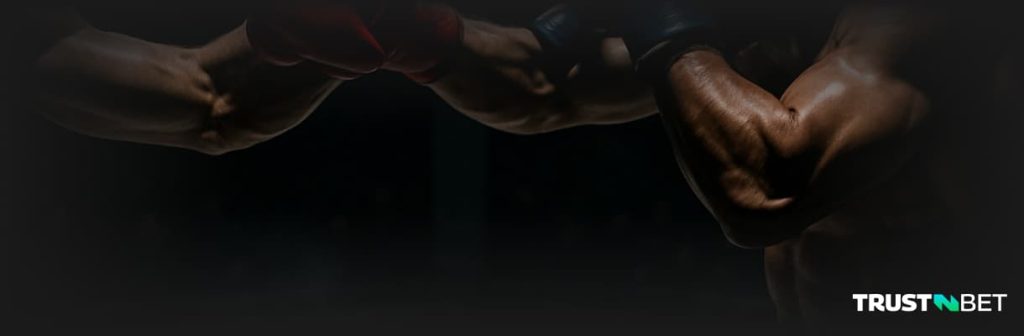 Fighter in octergon