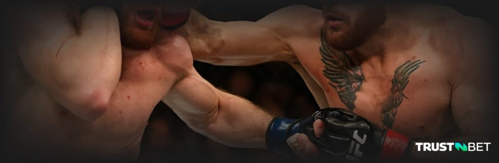 UFC Fighters in action