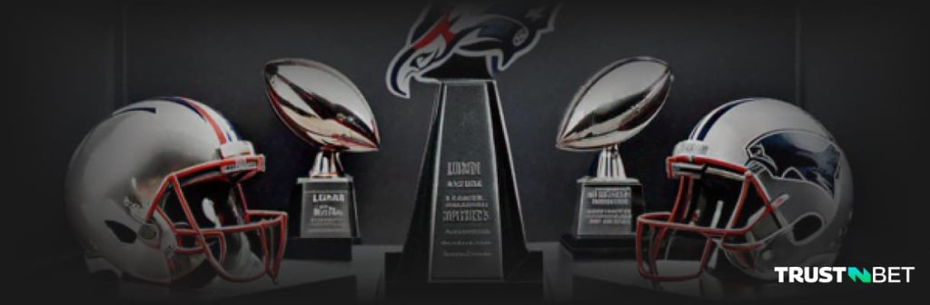 NE Patriots Snapshot