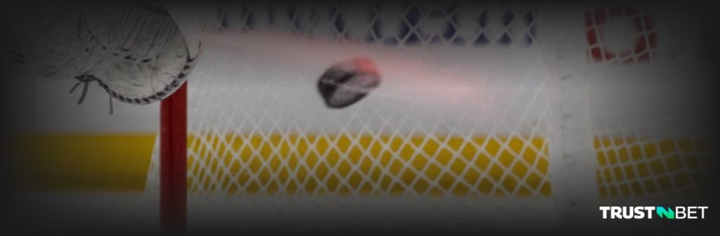 Puck enter net