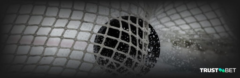 NHL puck hit net