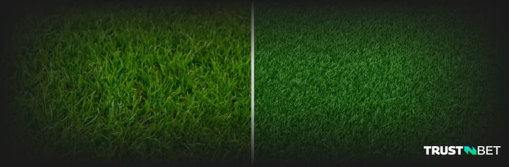 Artificial Turf vs Natural Grass