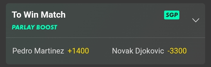 Djokovic vs Martinez game winner